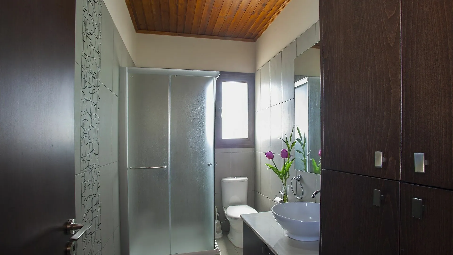 Villa Grecos Grove Protaras Apartment